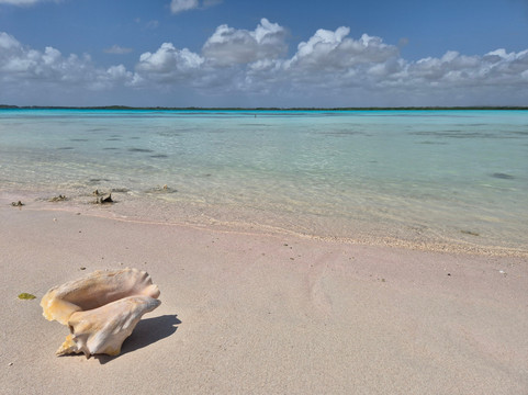 Lac Bay-Kralendijk必去景点