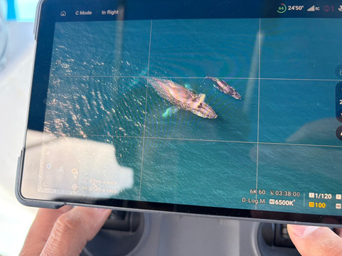 Baja Wild Encounters-La Ventana必去景点