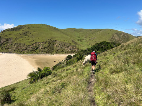 Wild Side Hiking-Port St Johns必去景点