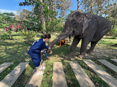 Manifa Elephant Camp-Sang Ha必去景点