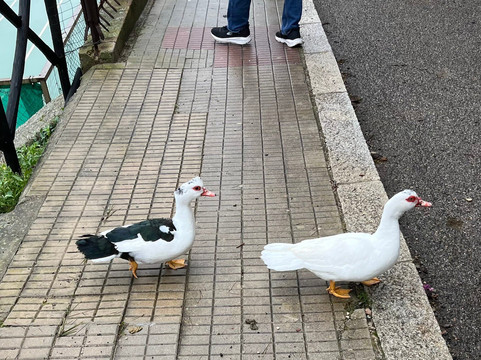 Monte Urpinu-卡利亚里省必去景点