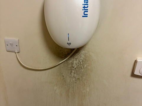 Whitmuir Farm-Lamancha必去景点