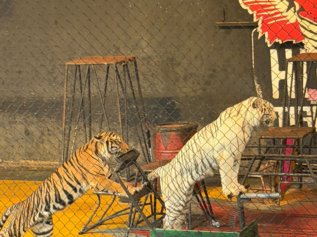 Hua Hin Safari-华欣必去景点