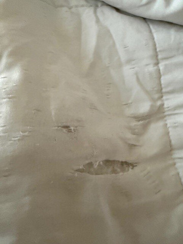 辛辛那提东北布鲁艾施希尔顿安泊套房酒店主图