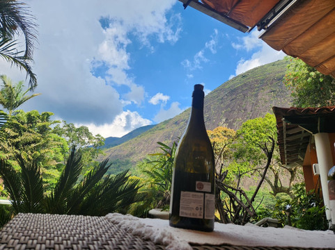 含羞草旅馆主图