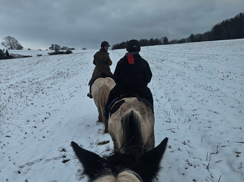 Tregoyd Mountain Riders-Three Cocks必去景点