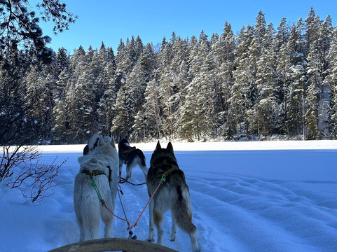 Arctic Expedition-埃斯波必去景点