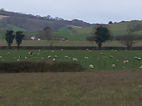 Cobstone Windmill-Turville必去景点