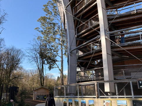 Treetop Walk Avondale-Rathdrum必去景点