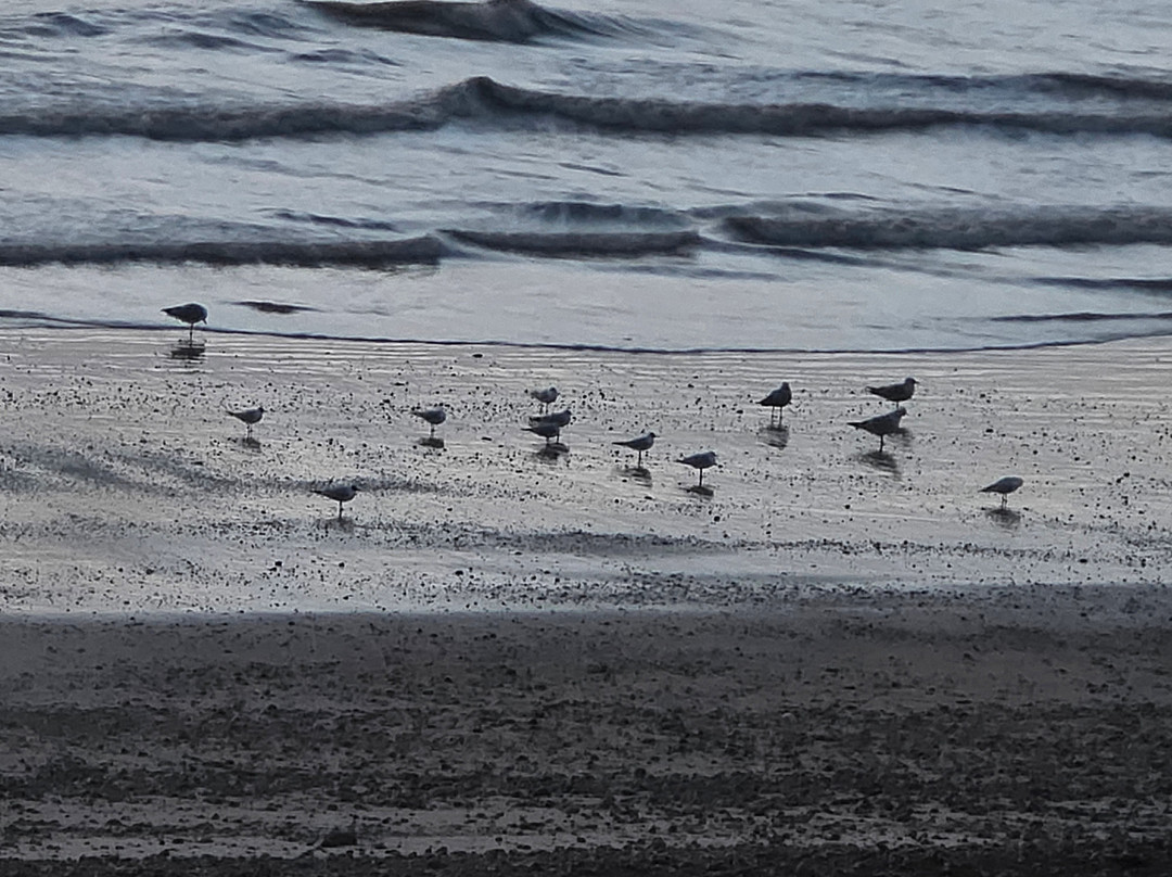 哈特菲尔德贝斯特韦斯特酒店主图