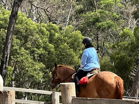 Spring Creek Horse Rides-贝尔布拉必去景点