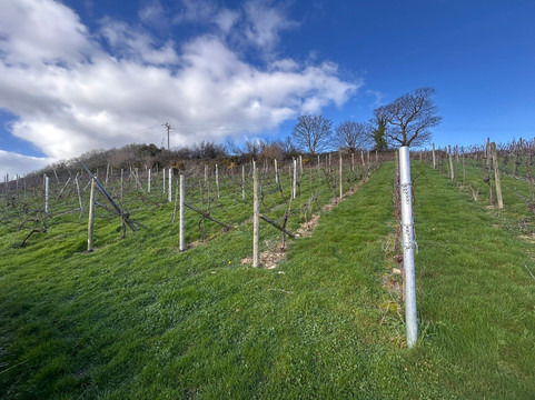 Gwinllan Conwy Ltd-Llandudno Junction必去景点