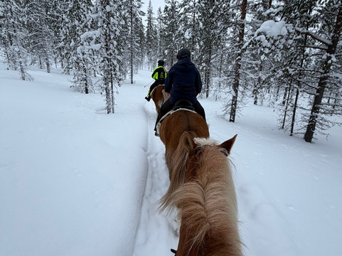 Polaris Point Horses-撒利塞卡必去景点
