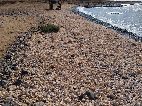 Shell Cemetery Beach-圣塔玛丽亚必去景点