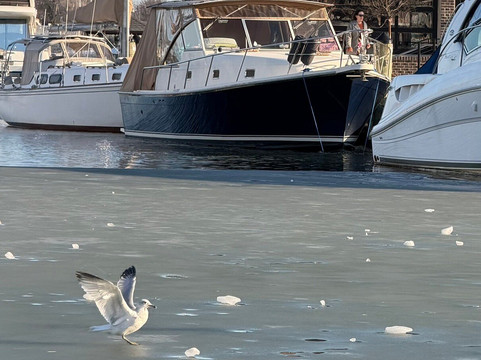 Annapolis Maritime Museum & Park-安纳波利斯必去景点