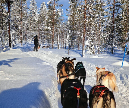 Maglelin Experience-Kittilä必去景点