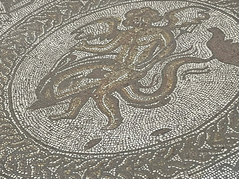 Fishbourne Roman Palace & Gardens-奇切斯特必去景点