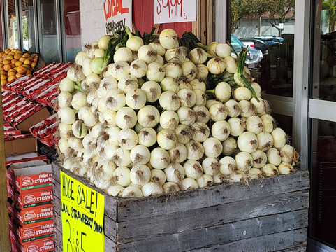 Detwiler's Farm Market-Palmetto必去景点