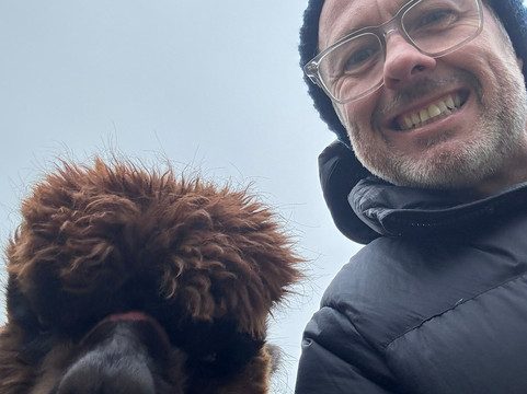 Alpaca Alpaca At Leven Valley-Yarm必去景点