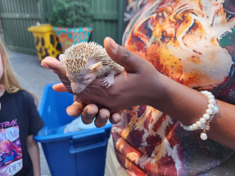 Giraffe House Wildlife Awareness Centre-斯泰伦博斯必去景点