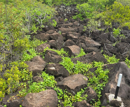 Playa Baquerizo-Puerto Baquerizo Moreno必去景点