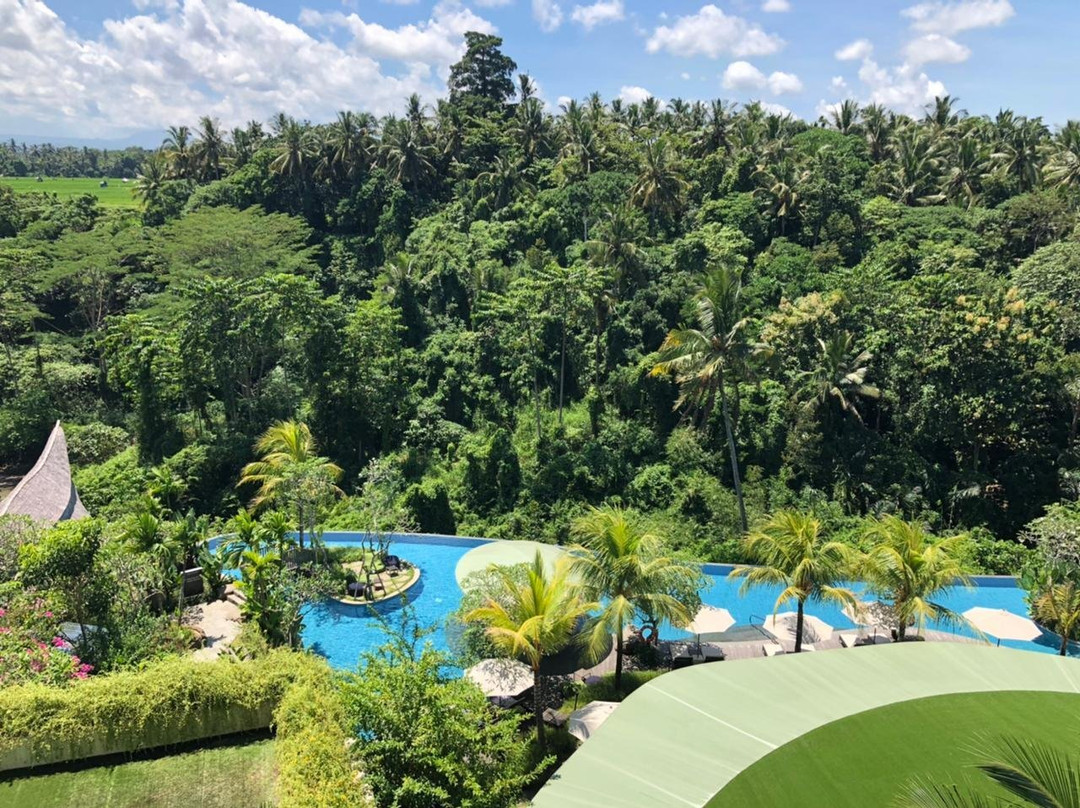 巴厘岛乌布威斯汀水疗度假酒店主图