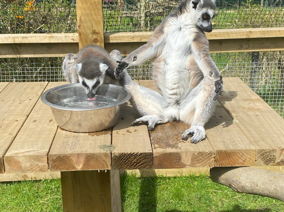 Ponderosa Zoo-Heckmondwike必去景点