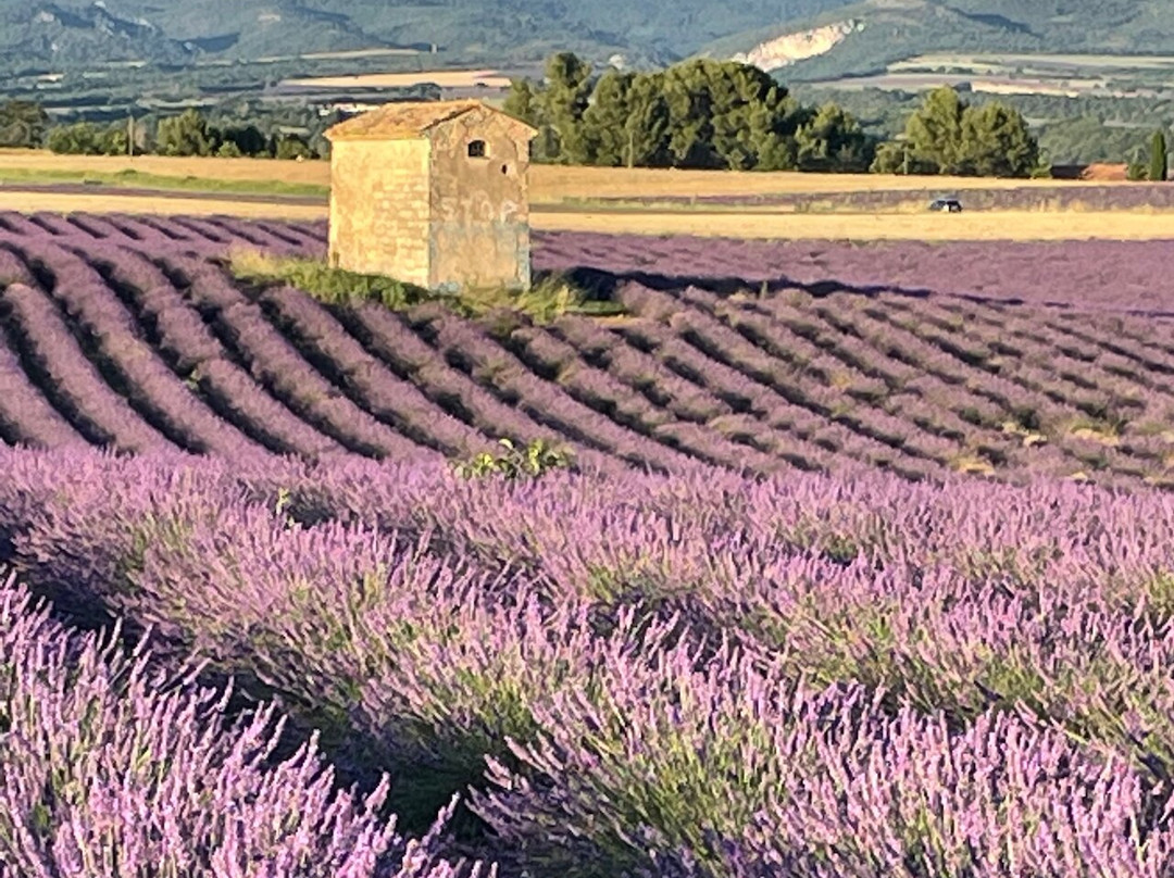 Madame Voyage En Provence-Rognes必去景点