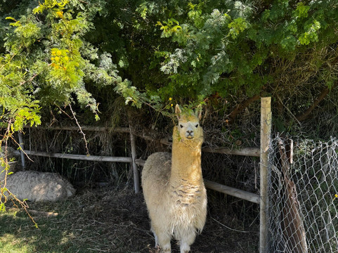 利马里酒店主图
