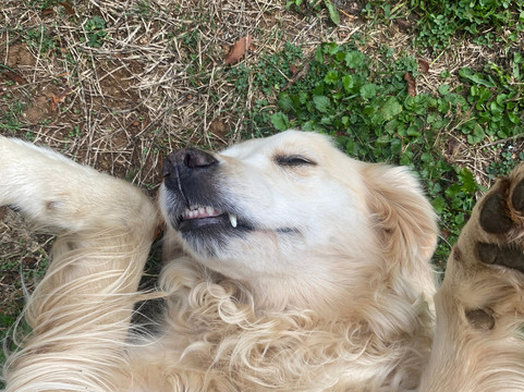 Rio Vivo-瓦尔迪维亚必去景点