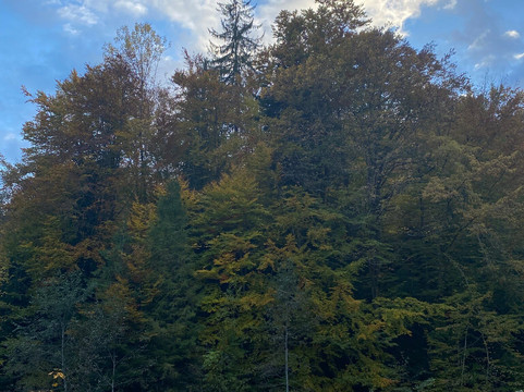 Carpathian National Nature Park-Yaremche必去景点