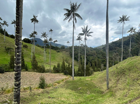 Tomplanmytrip-Copacabana必去景点