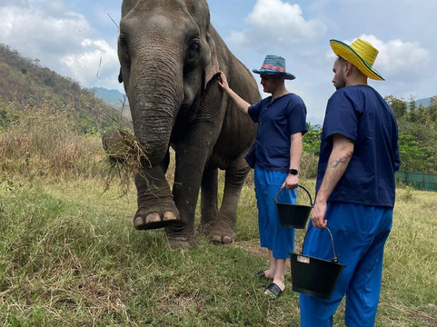 Doi Lom Elephant Rescue Sanctuary-夜登必去景点