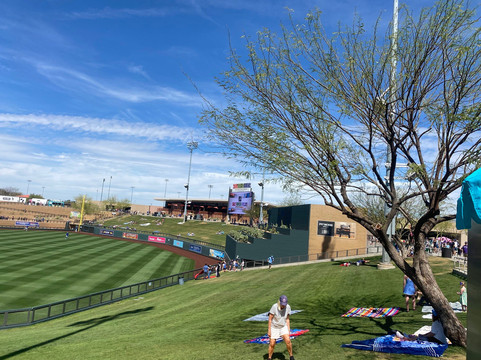 Salt River Fields at Talking Stick-斯科茨代尔必去景点