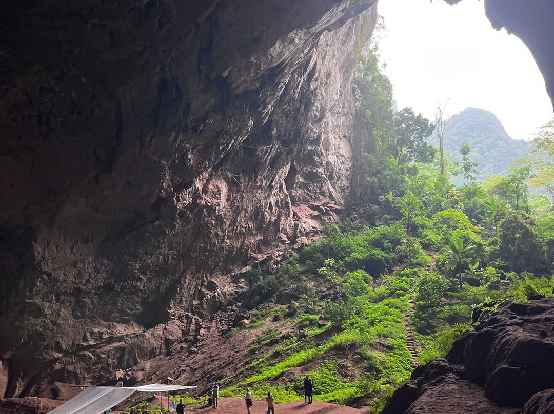 Jungle Boss Tours-峰牙－己榜国家公园必去景点