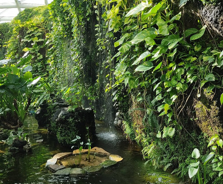 Konya Tropikal Kelebek Bahçesi-科尼亚必去景点