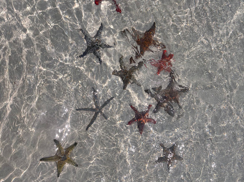 ScubaCaribe, Zanzibar-孥归必去景点