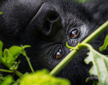 EverseenAfrica-霍德斯普鲁特必去景点