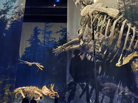 Naturalis Biodiversity Center-莱顿必去景点