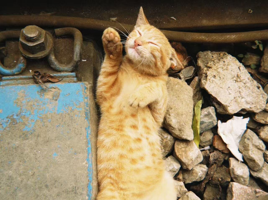 IDC Travel-河内必去景点