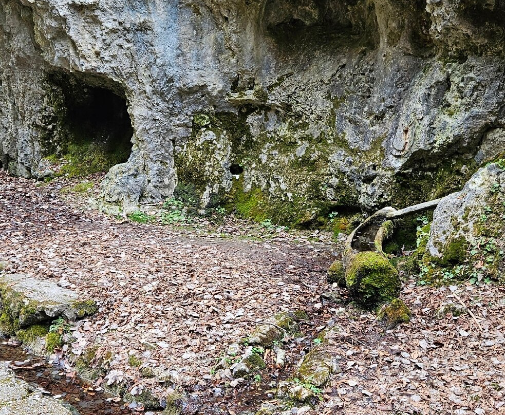 Canyon Rio Sass-Fondo必去景点