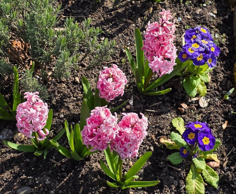 Priory Gardens-奥尔平顿必去景点