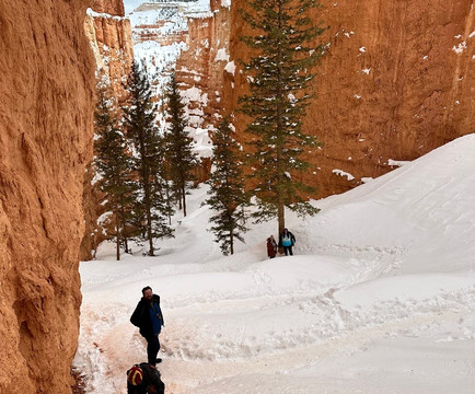 Wall Street-布莱斯峡谷国家公园必去景点