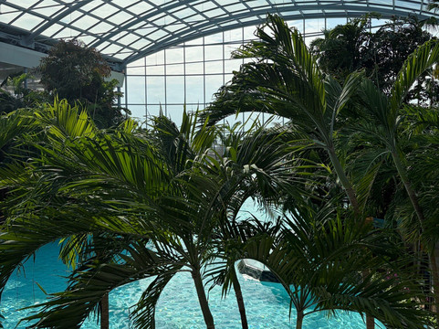 Therme Bucuresti-Balotesti必去景点