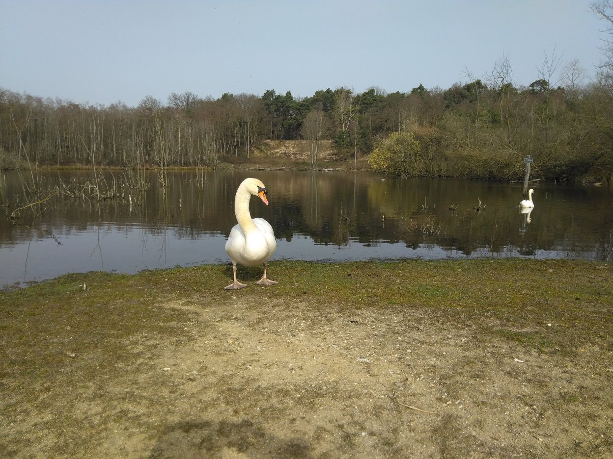 上磨坊彼尔德伯格酒店-官方