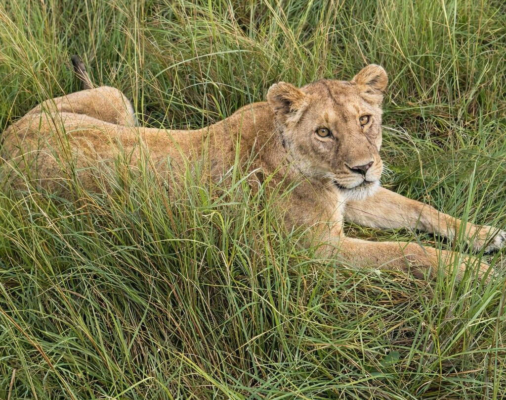 The Olmalaika Trust-Sekenani必去景点