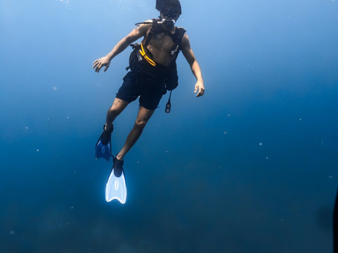 Sealion Dive Center-Los Mochis必去景点