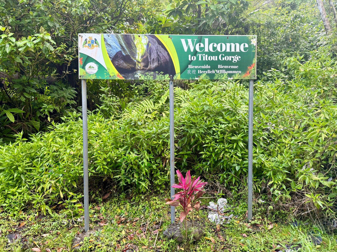 Nature Isle Explorer Day Tours-罗索必去景点