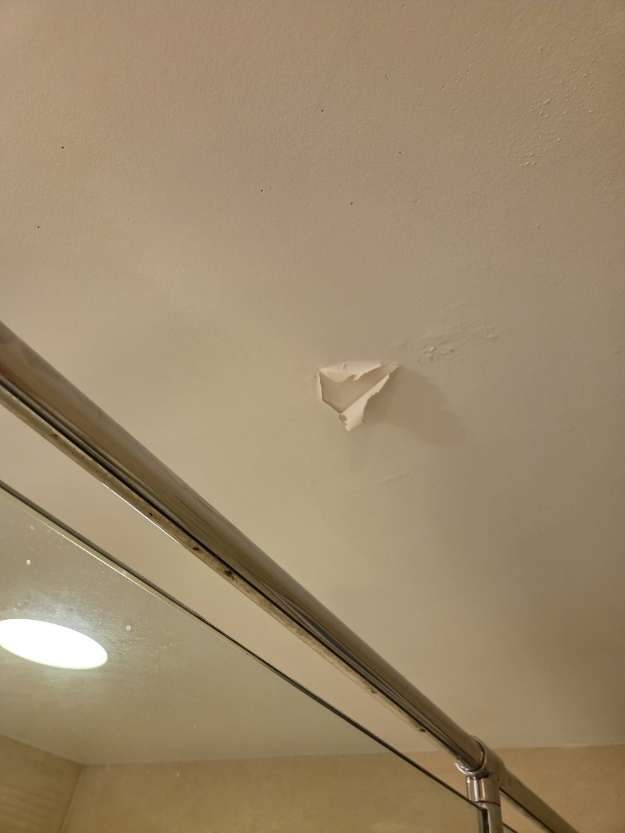 希尔顿夫隆特纳克酒店-浴室
