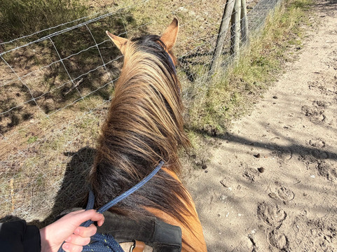 Espaces Equestres Henson-Saint-Quentin-en-Tourmont必去景点